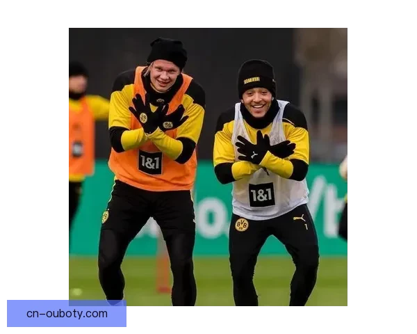 多特主场美因茨公益筛查睾丸癌